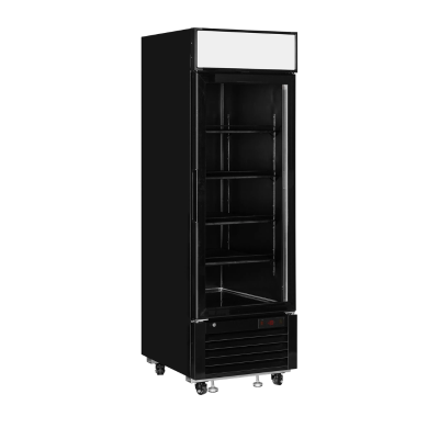 Armario expositor congelación LGF2500B Tefcold