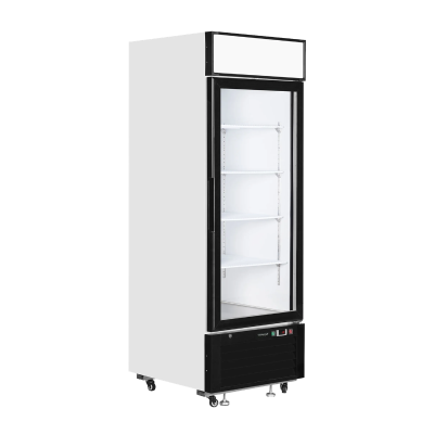 Armario expositor congelación LGF2500 Tefcold